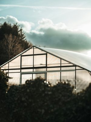4 season greenhouse