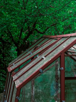 portable greenhouse